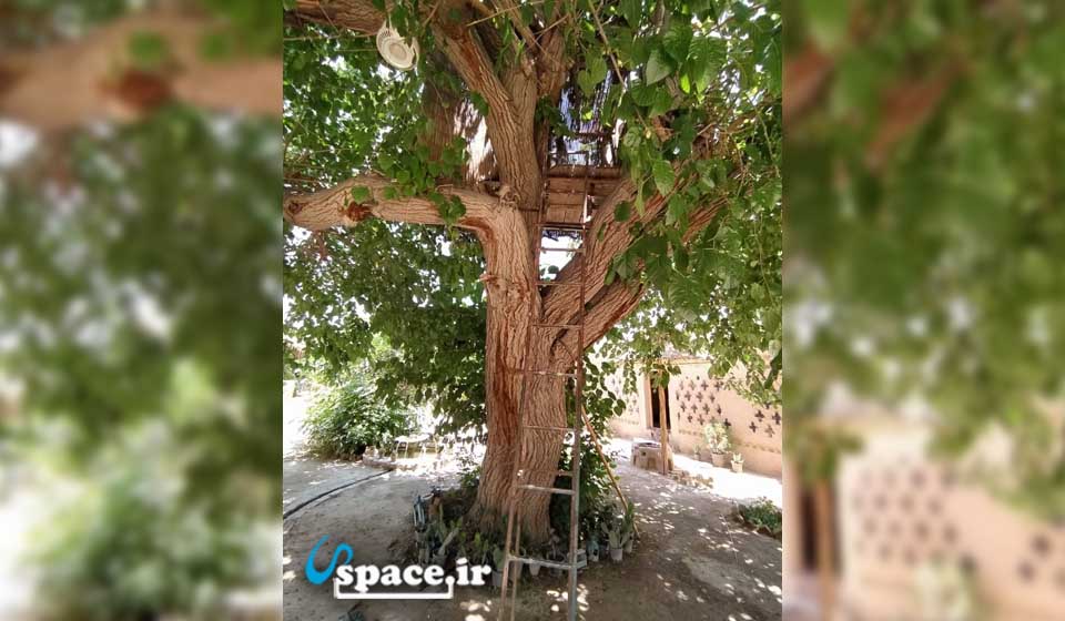 خانه درختی اقامتگاه بوم گردی عمارت قلعه خواجه - ورامین - جوادآباد - روستای قلعه خواجه