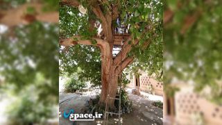 خانه درختی اقامتگاه بوم گردی عمارت قلعه خواجه - ورامین - جوادآباد - روستای قلعه خواجه